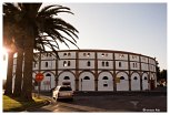 Cacares