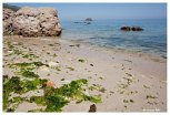 Portinho da Arrabida