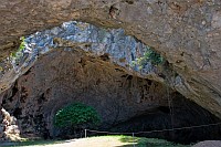 Vela spilja