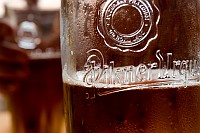 pilsner - nasz pocieszyciel w deszczowa pogode