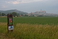 Mikulov - widok na miasto i pobliskie wzgrze