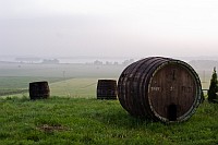 Horni Vestonice - beka na wino