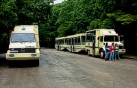 tzw kolejka
