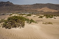 Urbanizacion Famara - skupisko domków dla wczasowiczów
