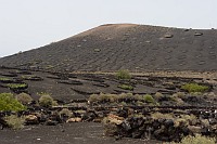 La Geria