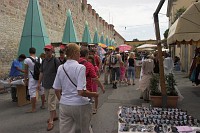 pisa